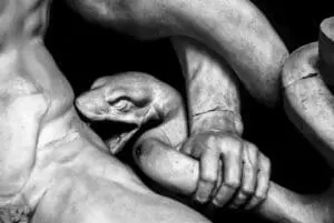 Laocoonte, dettaglio - il dolore