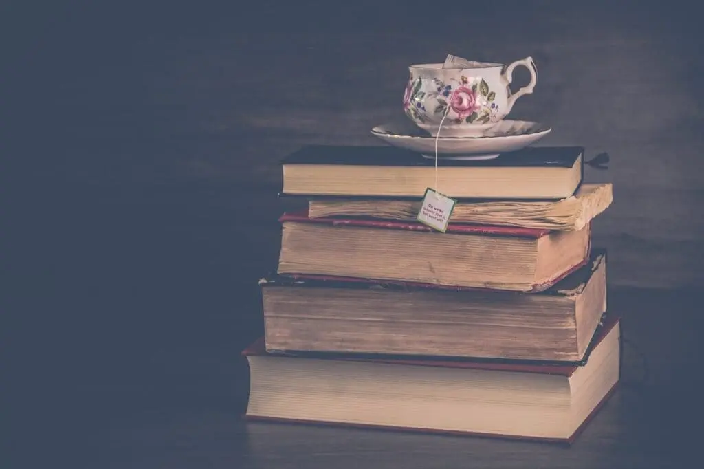 Image by Ylanite Koppens from Pixabay
