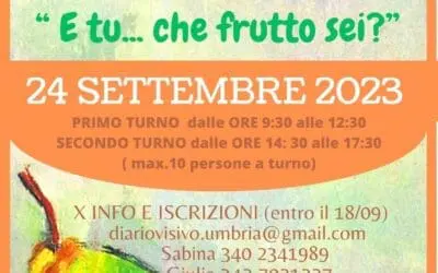 E tu che frutto sei?